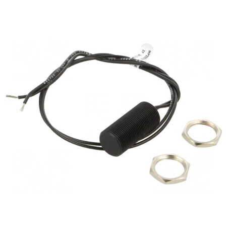 Senzor Reed NO cu Pini | Electronic-mag.ro | Componente Electronice