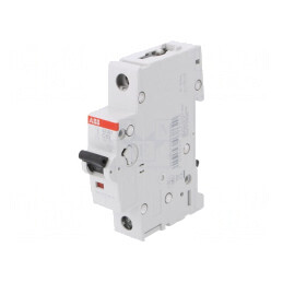 Întrerupător de Supracurent 63A 230VAC 1P C | Electronic-mag.ro | Componente Electronice