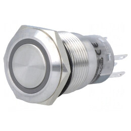 Comutator Anti-Vandalism SPDT 0,5A 220VAC 1A 24VDC | Electronic-mag.ro | Componente Electronice