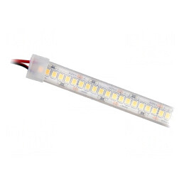 Bandă LED Alb Rece 24V IP65 | Electronic-mag.ro | Componente Electronice