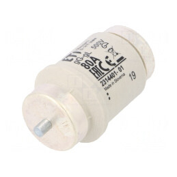 Siguranță gG 80A 500V Ceramică DIV D | Electronic-mag.ro | Componente Electronice
