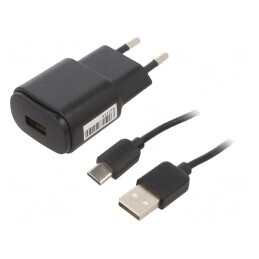 Alimentator Pulsatoriu 5VDC 2A 10W | Electronic-mag.ro | Componente Electronice