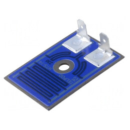 Rezistor Încălzire Thick Film 100W Oțel | Electronic-mag.ro | Componente Electronice