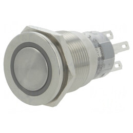 Comutator Anti-Vandalism 2 Poz SPDT 0,5A/220VAC 1A/24VDC | Electronic-mag.ro | Componente Electronice