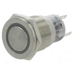 Comutator Anti-Vandalism SPDT 2 Poz 0,5A/220VAC 1A/24VDC | Electronic-mag.ro | Componente Electronice