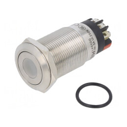 Comutator Anti-vandalism SPDT 3A/220VAC 5A/24VDC IP65 | Electronic-mag.ro | Componente Electronice