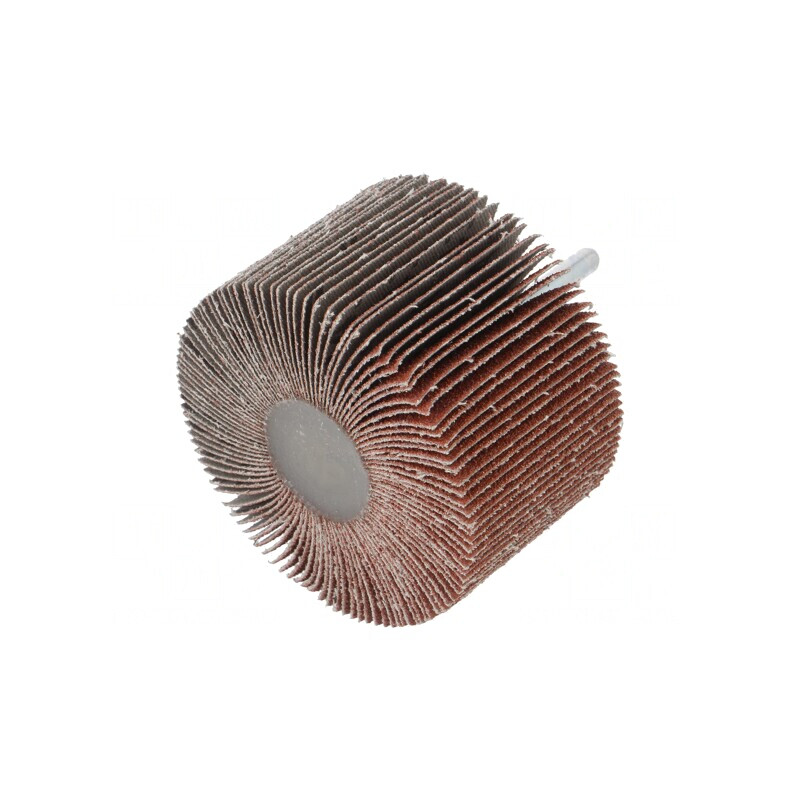 Ax Granularitate 60 cu Tijă de Fixare 6mm Ø80x50mm | Electronic-mag.ro | Componente Electronice Ax Granularitate 60 cu Tijă de Fixare 6mm Ø80x50mm | Electronic-mag.ro | Componente Electronice