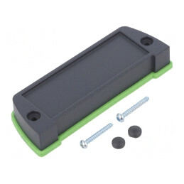 Set Montaj Carcase ASP1030-150RAL7024 | Electronic-mag.ro | Componente Electronice