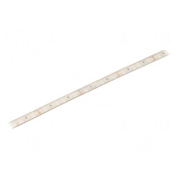 Bandă LED Alb Neutru 24V IP68 12W/m | Electronic-mag.ro | Componente Electronice
