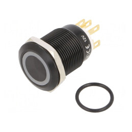 Comutator anti-vandalism 2 poziții SPDT IP65 | Electronic-mag.ro | Componente Electronice