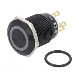 Comutator Anti-Vandalism SPDT IP65 3A/220VAC 5A/24VDC | Electronic-mag.ro | Componente Electronice