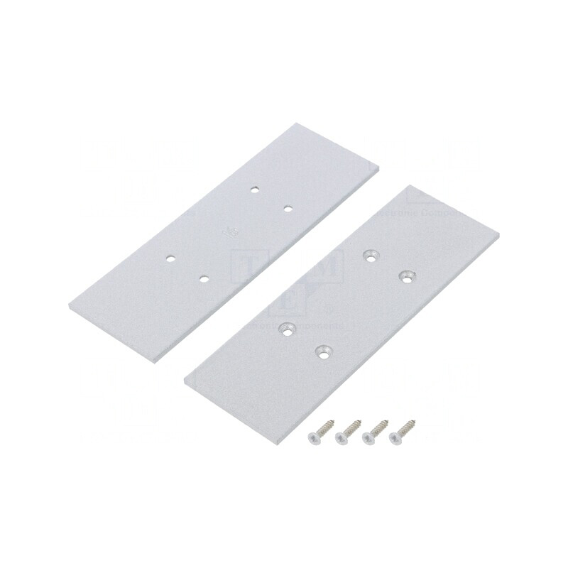 Obturator Argintiu pentru Profile LED 2 buc. | Electronic-mag.ro | Componente Electronice