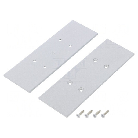 Obturator Argintiu pentru Profile LED 2 buc. | Electronic-mag.ro | Componente Electronice