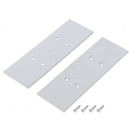Obturator Argintiu pentru Profile LED 2 buc. | Electronic-mag.ro | Componente Electronice