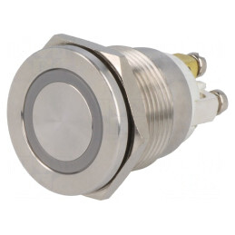Comutator Anti-Vandalism SPST-NO 0,5A 220V | Electronic-mag.ro | Componente Electronice