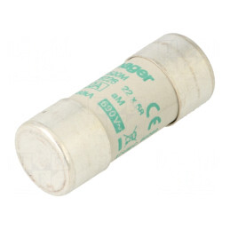 Siguranță cilindrică industrială 20A 690VAC | Electronic-mag.ro | Componente Electronice