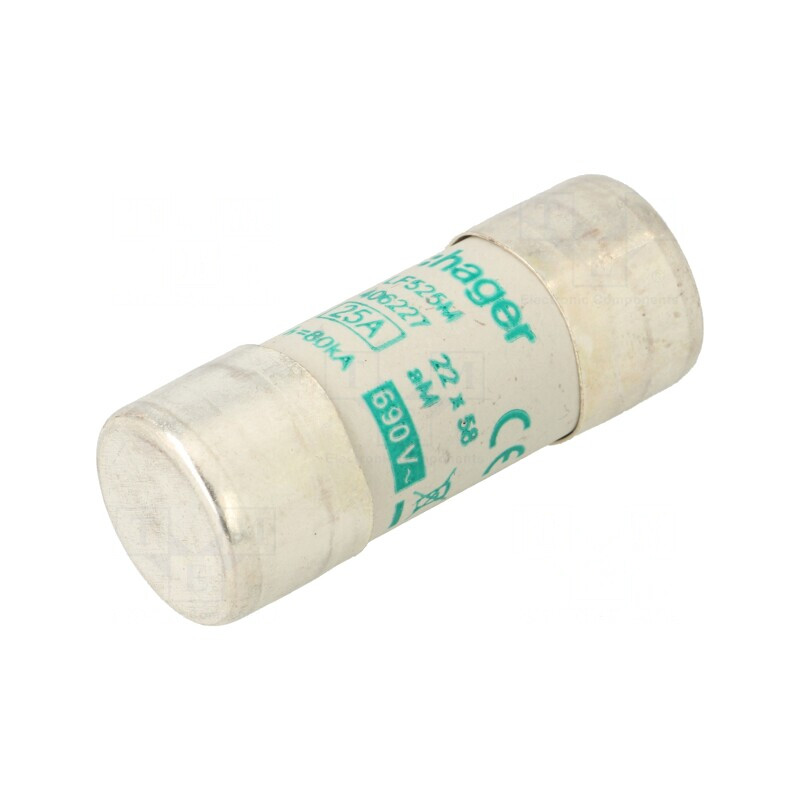 Siguranță cilindrică industrială 25A 690VAC | Electronic-mag.ro | Componente Electronice