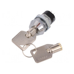 Întrerupător cu Cheie DPST 90° 2 Pini | Electronic-mag.ro | Componente Electronice