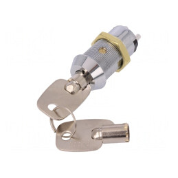 Comutator întrerupător cu cheie 2 pini SPST 90° | Electronic-mag.ro | Componente Electronice