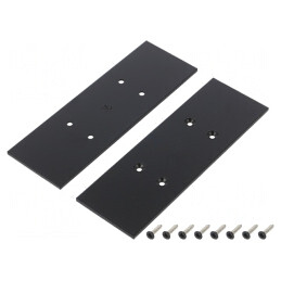 Obturator Negru pentru Profil LED - Set 2 Bucăți | Electronic-mag.ro | Componente Electronice