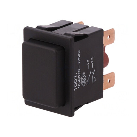 Comutator Apăsare DPST-NO 16A 250V | Electronic-mag.ro | Componente Electronice