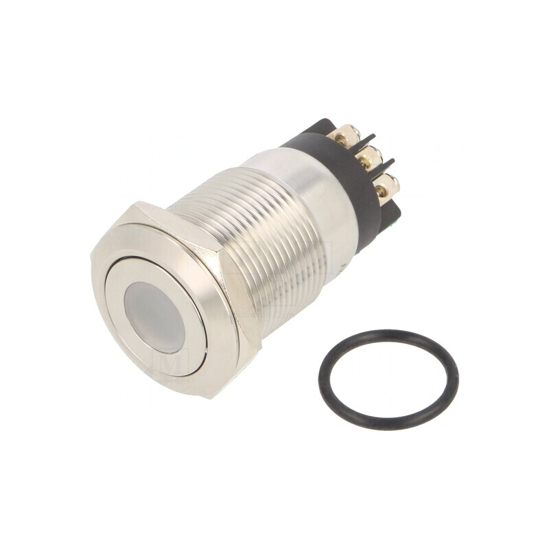 Comutator Anti-Vandalism 2 Poz SPDT IP65 3A/220VAC 5A/24VDC | Electronic-mag.ro | Componente Electronice