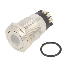 Comutator Anti-Vandalism 2 Poz SPDT IP65 3A/220VAC 5A/24VDC | Electronic-mag.ro | Componente Electronice