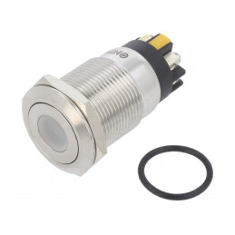 Comutator Anti-Vandalism SPDT IP65 3A/220VAC 5A/24VDC | Electronic-mag.ro | Componente Electronice