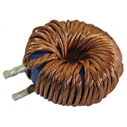 Inductor THT 100uH 30A