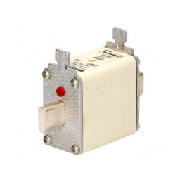 Siguranță Ceramică Industrială 63A 500VAC 250VDC | Electronic-mag.ro | Componente Electronice