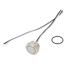 Comutator Anti-Vandalism 2 Poz SPST-NO 50mA 24VDC IP65 Ø22mm | Electronic-mag.ro | Componente Electronice