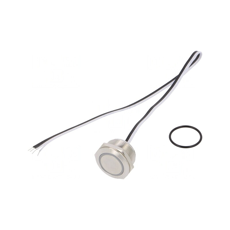 Comutator Anti-Vandalism 2 Poz SPST-NO 50mA 24VDC IP65 Ø22mm | Electronic-mag.ro | Componente Electronice Comutator Anti-Vandalism 2 Poz SPST-NO 50mA 24VDC IP65 Ø22mm | Electronic-mag.ro | Componente Electronice