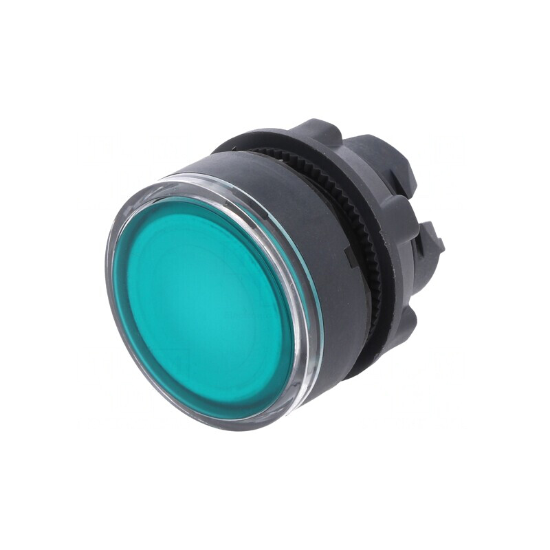 Comutator Apăsare Verde 22mm IP66 | Electronic-mag.ro | Componente Electronice