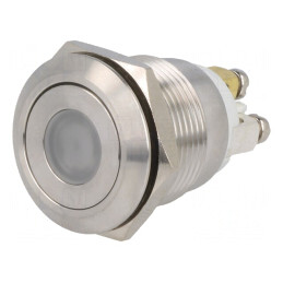 Comutator Anti-Vandalism SPST-NO 0,5A 220VAC 2A 36VDC | Electronic-mag.ro | Componente Electronice