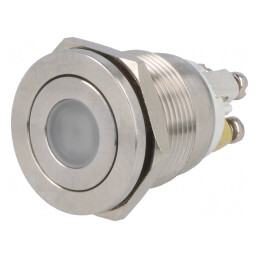 Comutator Anti-Vandalism SPST-NO 0,5A/220VAC 2A/36VDC | Electronic-mag.ro | Componente Electronice