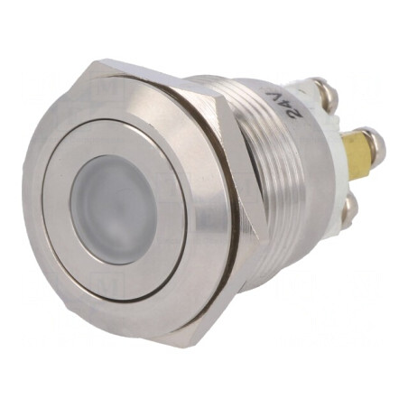 Comutator Anti-Vandalism SPST-NO 0,5A/220VAC 2A/36VDC | Electronic-mag.ro | Componente Electronice