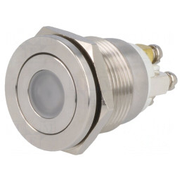 Comutator anti-vandalism 2 SPST-NO 0,5A 220VAC 2A 36VDC | Electronic-mag.ro | Componente Electronice