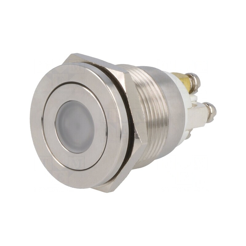 Comutator anti-vandalism 2 SPST-NO 0,5A 220VAC 2A 36VDC | Electronic-mag.ro | Componente Electronice