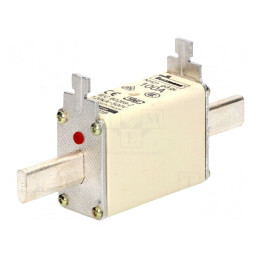 Siguranță NH01 100A 500VAC 250VDC | Electronic-mag.ro | Componente Electronice