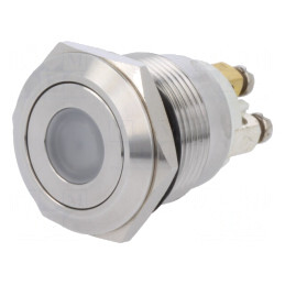 Comutator Anti-Vandalism SPST-NO 0.5A/220VAC 2A/36VDC | Electronic-mag.ro | Componente Electronice