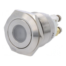 Comutator Anti-Vandalism SPST-NO 0,5A/220VAC 2A/36VDC | Electronic-mag.ro | Componente Electronice