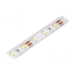 Bandă LED alb rece IP68 12V 4W/m | Electronic-mag.ro | Componente Electronice