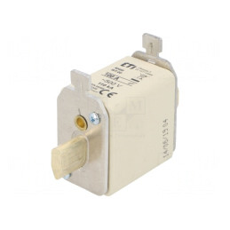 Siguranță ardere rapidă 100A 500VAC NH00 | Electronic-mag.ro | Componente Electronice