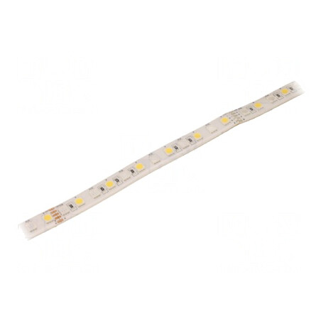 Banda LED RGBW 24V IP65 23W/m | Electronic-mag.ro | Componente Electronice