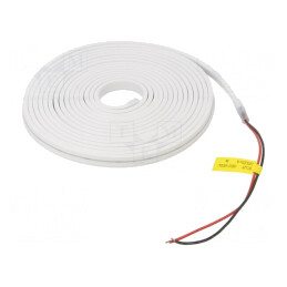 Bandă LED NEON Alb Rece 12V IP65 5W/m | Electronic-mag.ro | Componente Electronice
