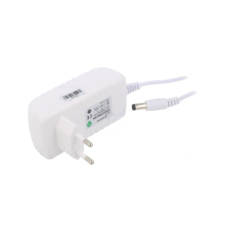 Alimentator Pulsatoriu 24VDC 1A 24W | Electronic-mag.ro | Componente Electronice