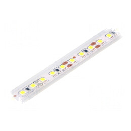 Bandă LED Alb Rece 12V IP65 6W/m | Electronic-mag.ro | Componente Electronice