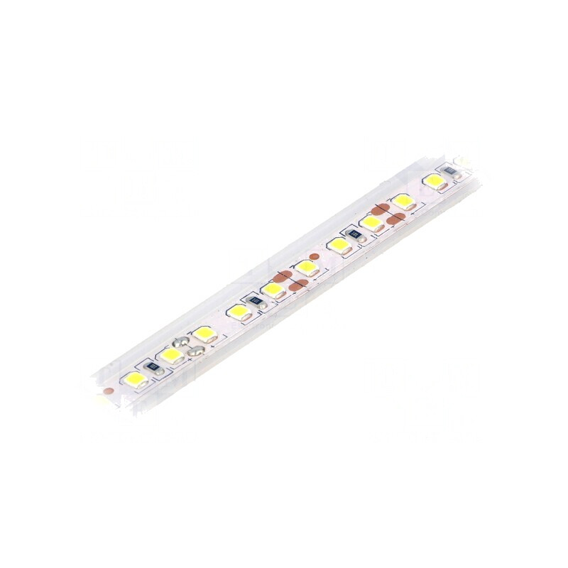 Bandă LED Alb Rece 12V IP65 6W/m | Electronic-mag.ro | Componente Electronice