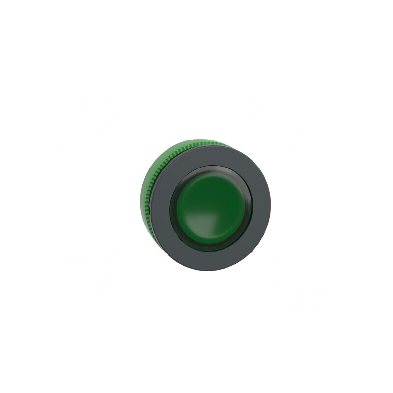 Comutator Verde 30mm IP66 | Electronic-mag.ro | Componente Electronice Comutator Verde 30mm IP66 | Electronic-mag.ro | Componente Electronice