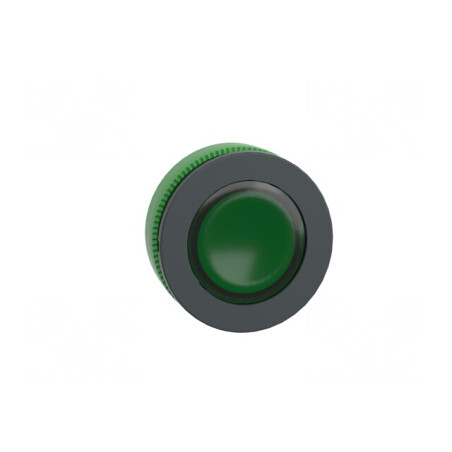 Comutator Verde 30mm IP66 | Electronic-mag.ro | Componente Electronice